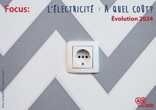 2025-01-16-EvolutionPrixElec_2024